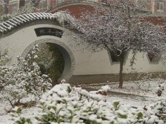 北京语言大学冬景