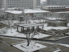 北京林业大学冬景