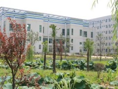 中南财经政法大学绿景