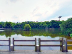 江西财经大学湖边观景台